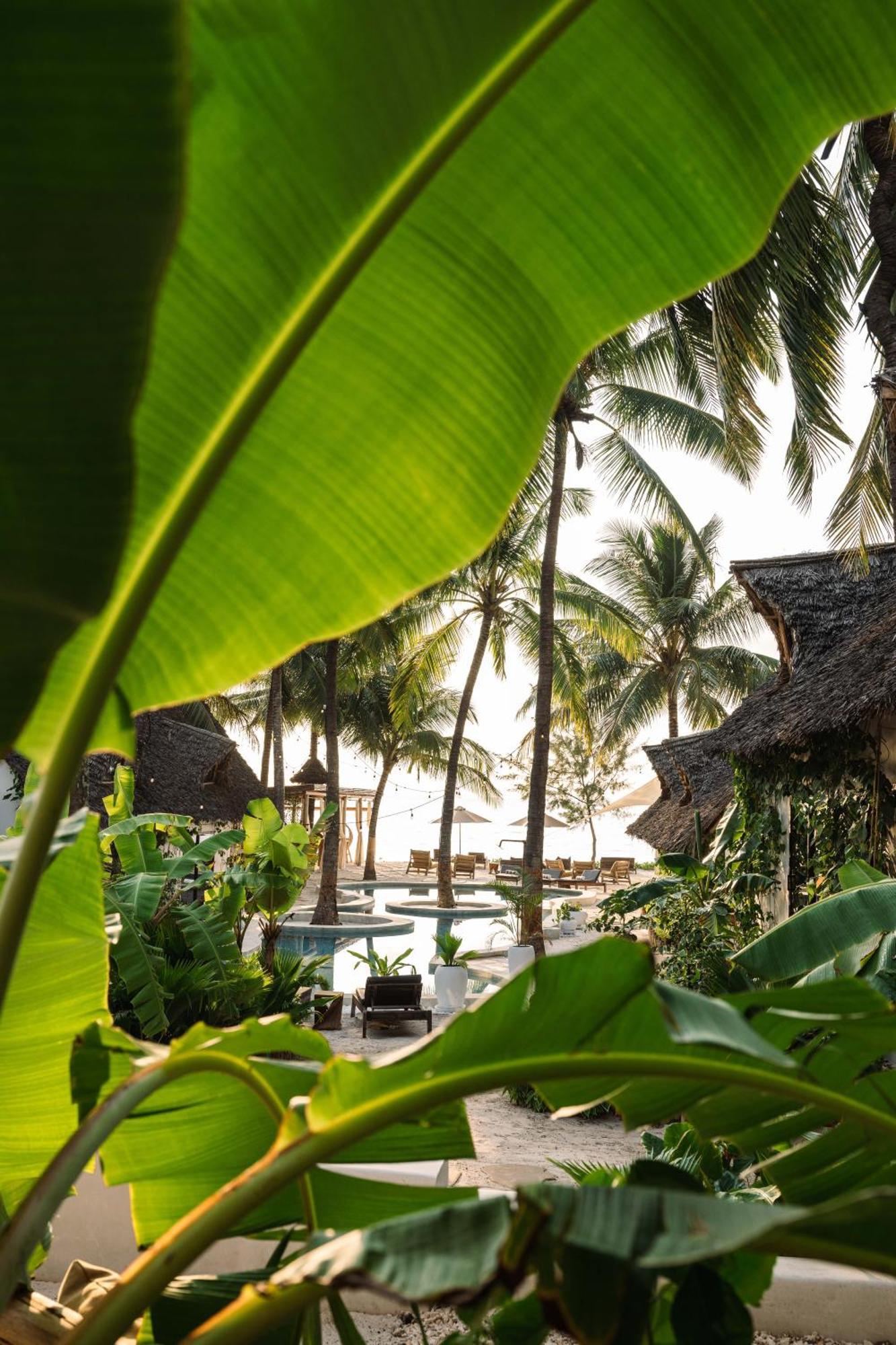 Mala Boutique Hotel Bwejuu Exterior photo